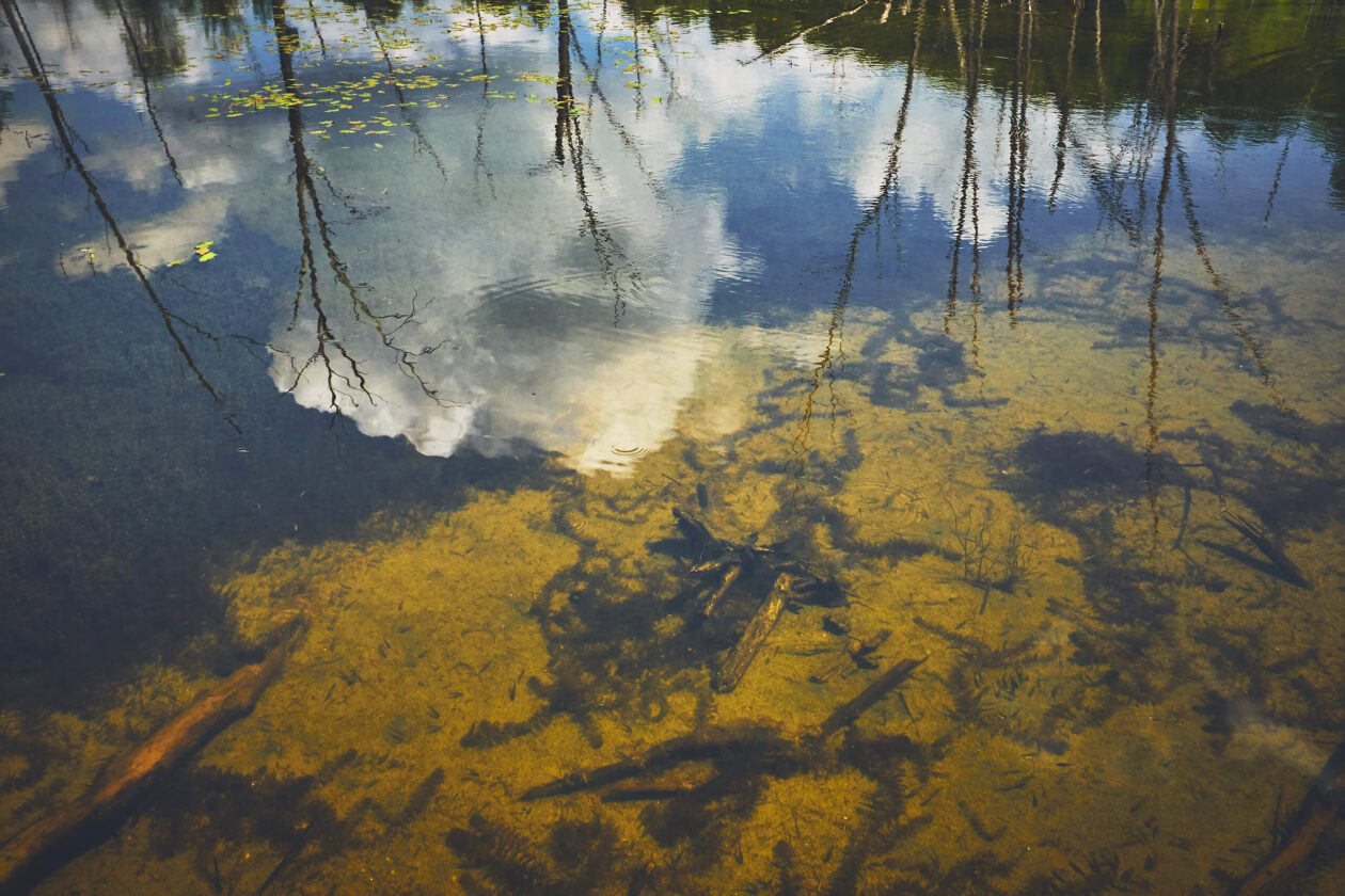 Water Reflections at Bizard Island Quebec Nature Photography Tips - FujiFilm X100T