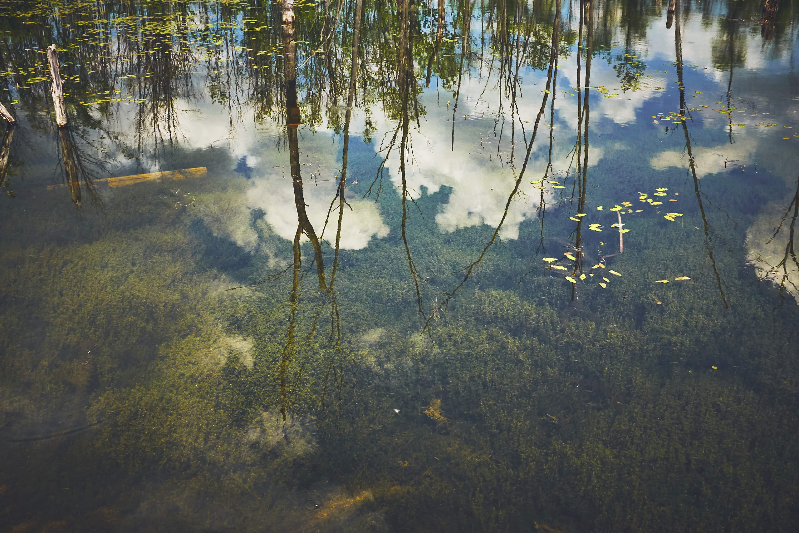 Water Reflections at Bizard Island Quebec Nature Photography Tips - FujiFilm X100T