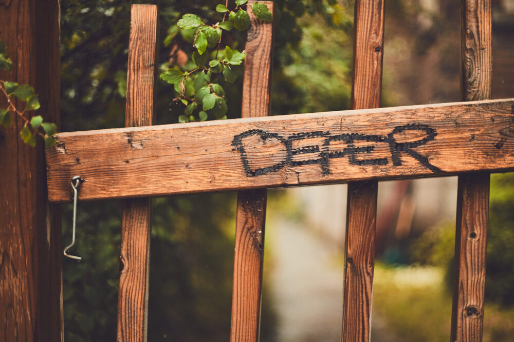 Canon 5D Mark iii with ef 50mm 1.8 - Montreal NDG of a wooden gate