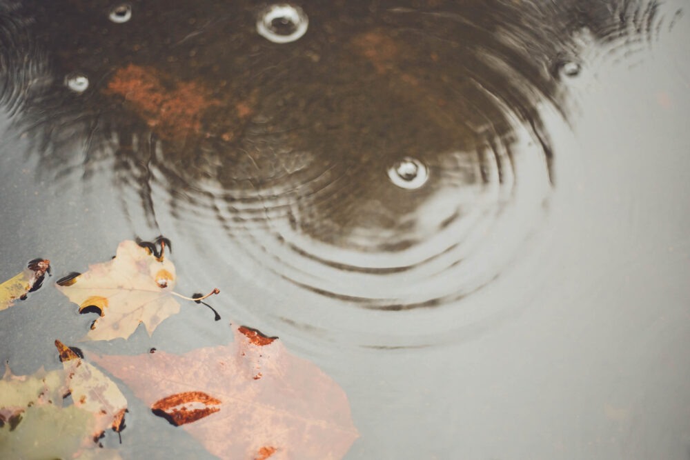 Canon 5D Mark iii with ef 50mm 1.8 - Montreal NDG rainy day drops of water in a puddle