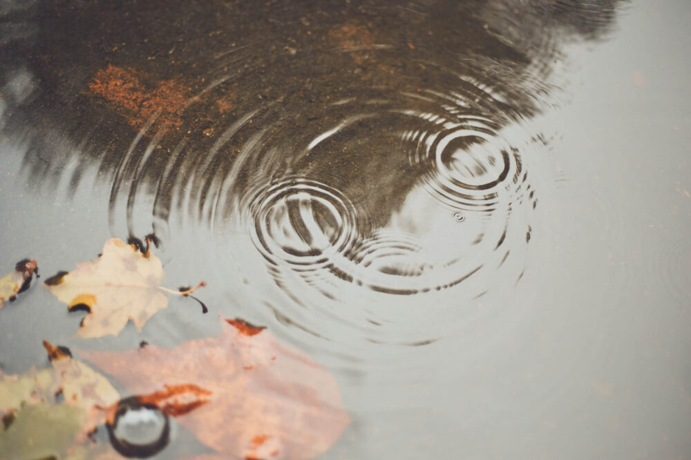 Canon 5D Mark iii with ef 50mm 1.8 - Montreal NDG rainy day drops of water in a puddle