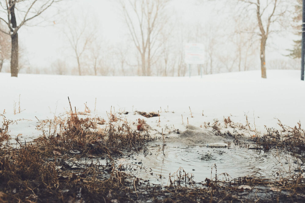 Canon 5D Mark iii with 50mm 1.8 - Parc de Dieppe Montreal Winter Photowalk next to a puddle