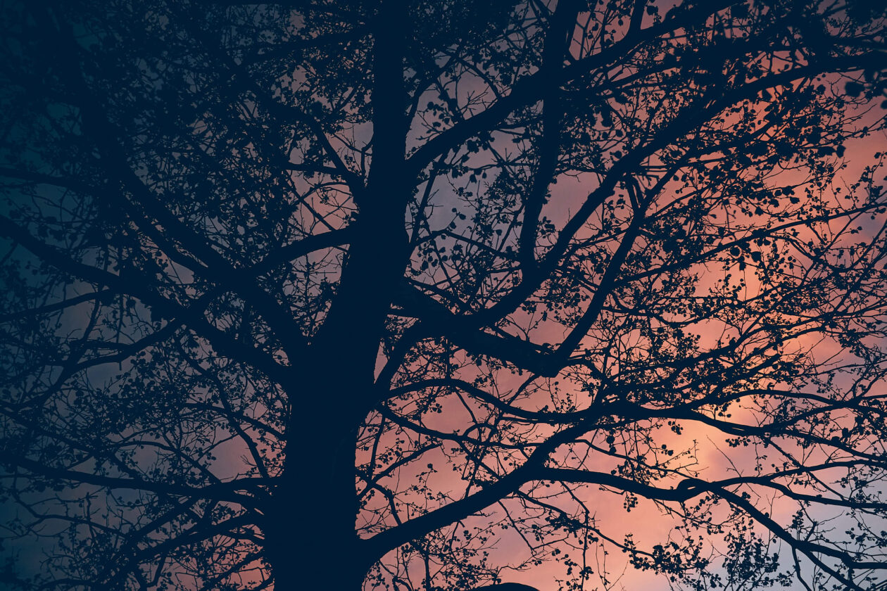 Fujifilm X100T - Stormy clouds behind a tree in Syracuse New York