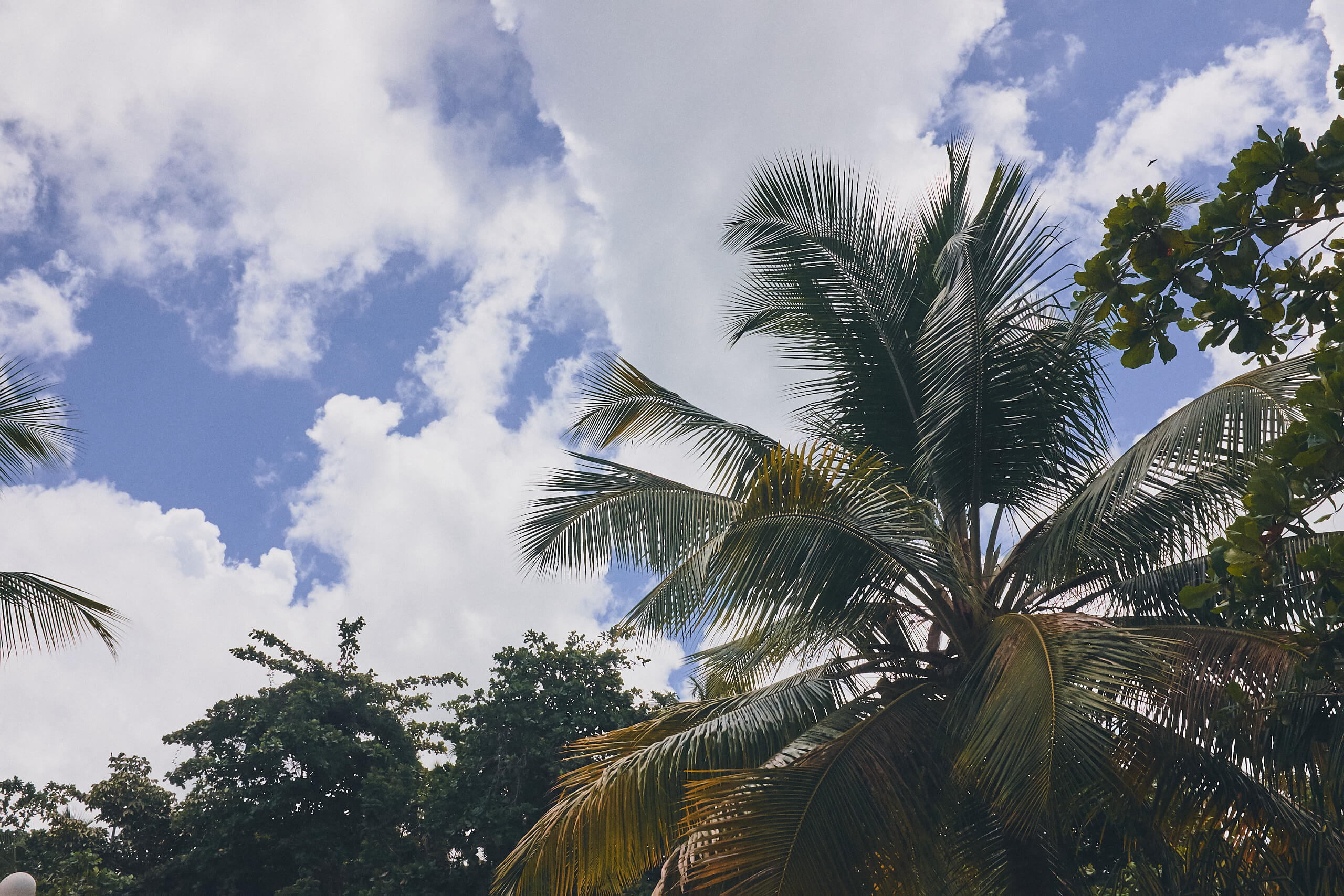 Rincon Beach Puerto Rico - Travel Photography Landscape Photography - Beach Photography - FujiFilm X100T