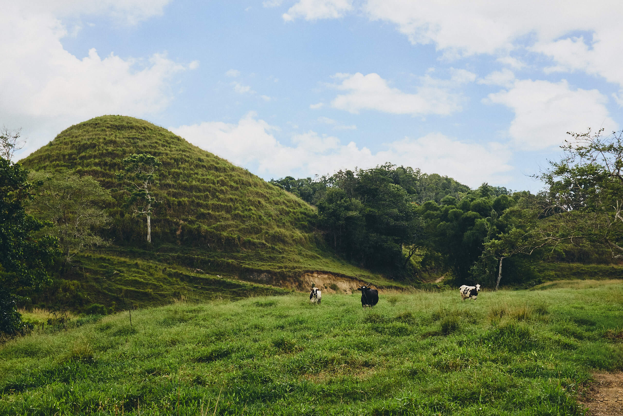 Puerto Rico - Farmland - Landscape Photography - Nature Photography - Fuji X100T