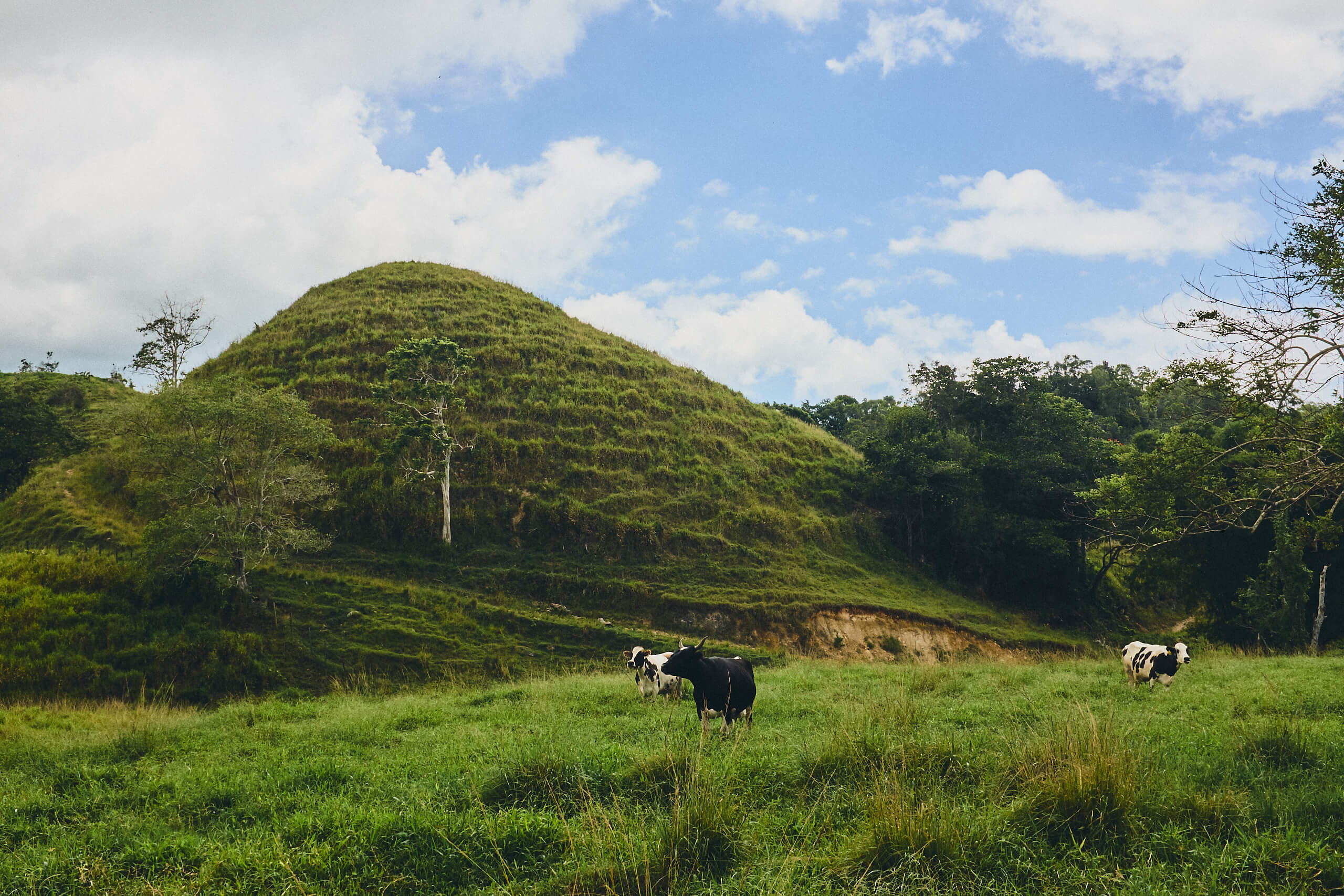 Puerto Rico - Farmland - Landscape Photography - Nature Photography - Fuji X100T