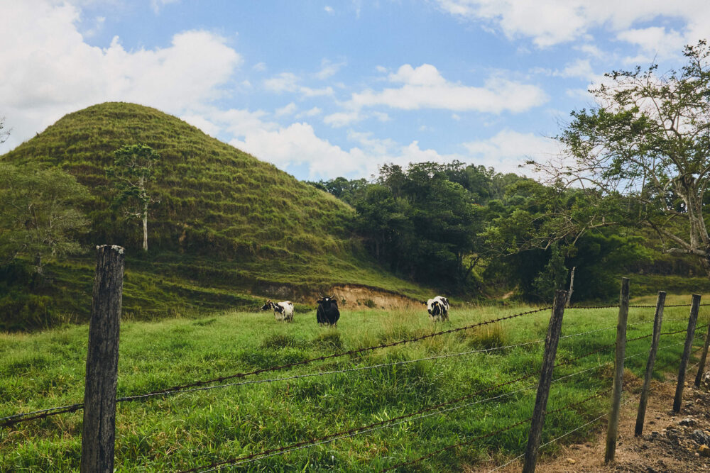 Puerto Rico - Farmland - Landscape Photography - Nature Photography - Fuji X100T