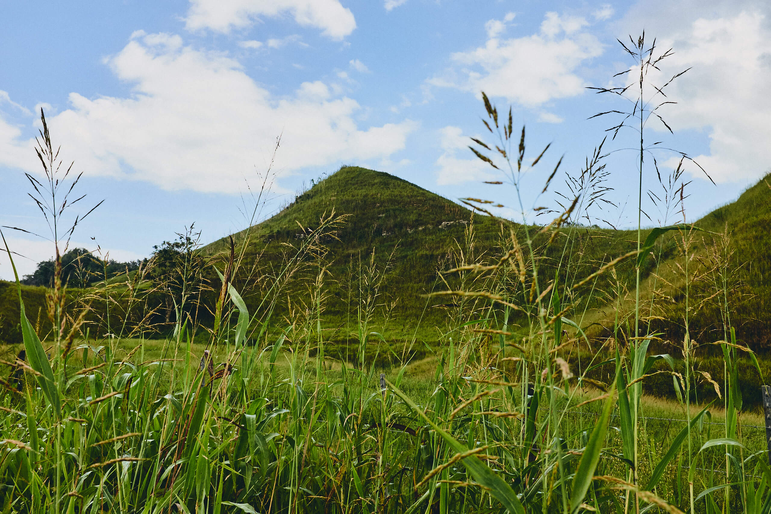 Puerto Rico - Farmland - Landscape Photography - Nature Photography - Fuji X100T