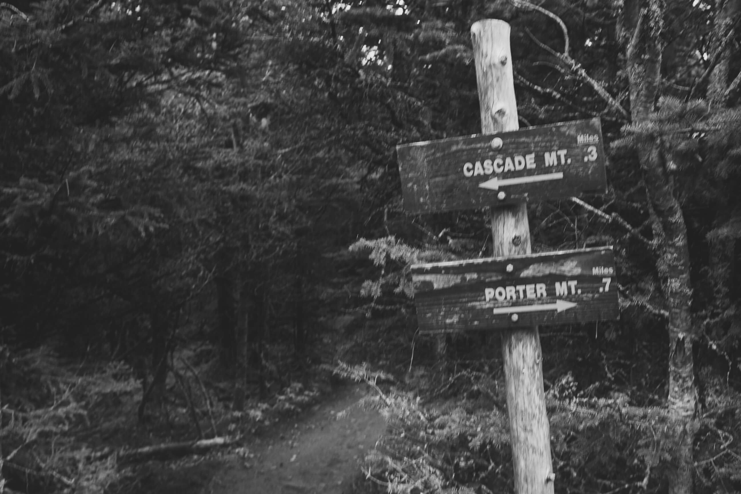 Adirondack Hike Cascade Mountain - Travel Photography - Landscape Photography - Fuji X100T