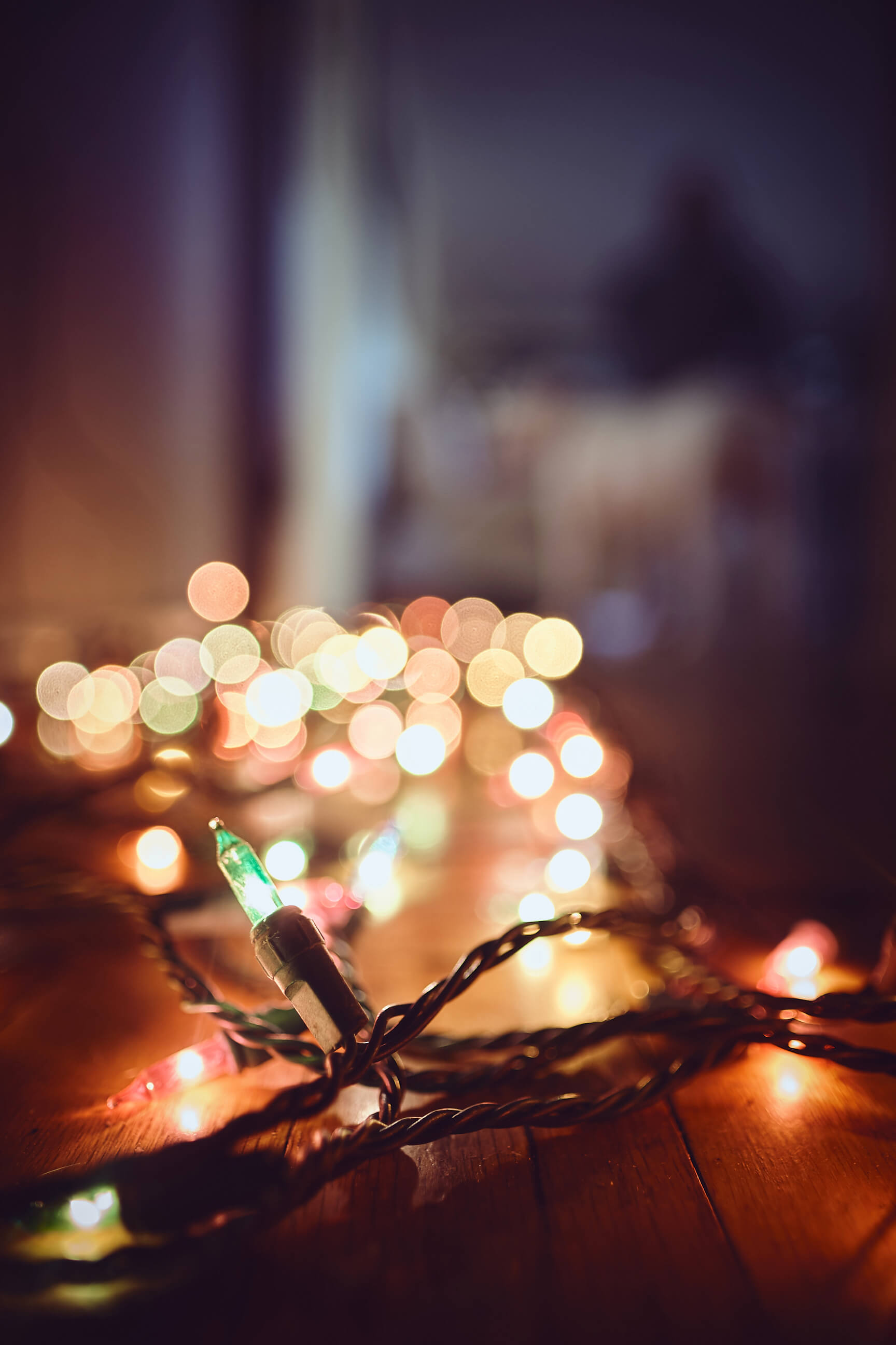 Christmas Lights - Nanuet New York- Holiday Photography - Bokeh