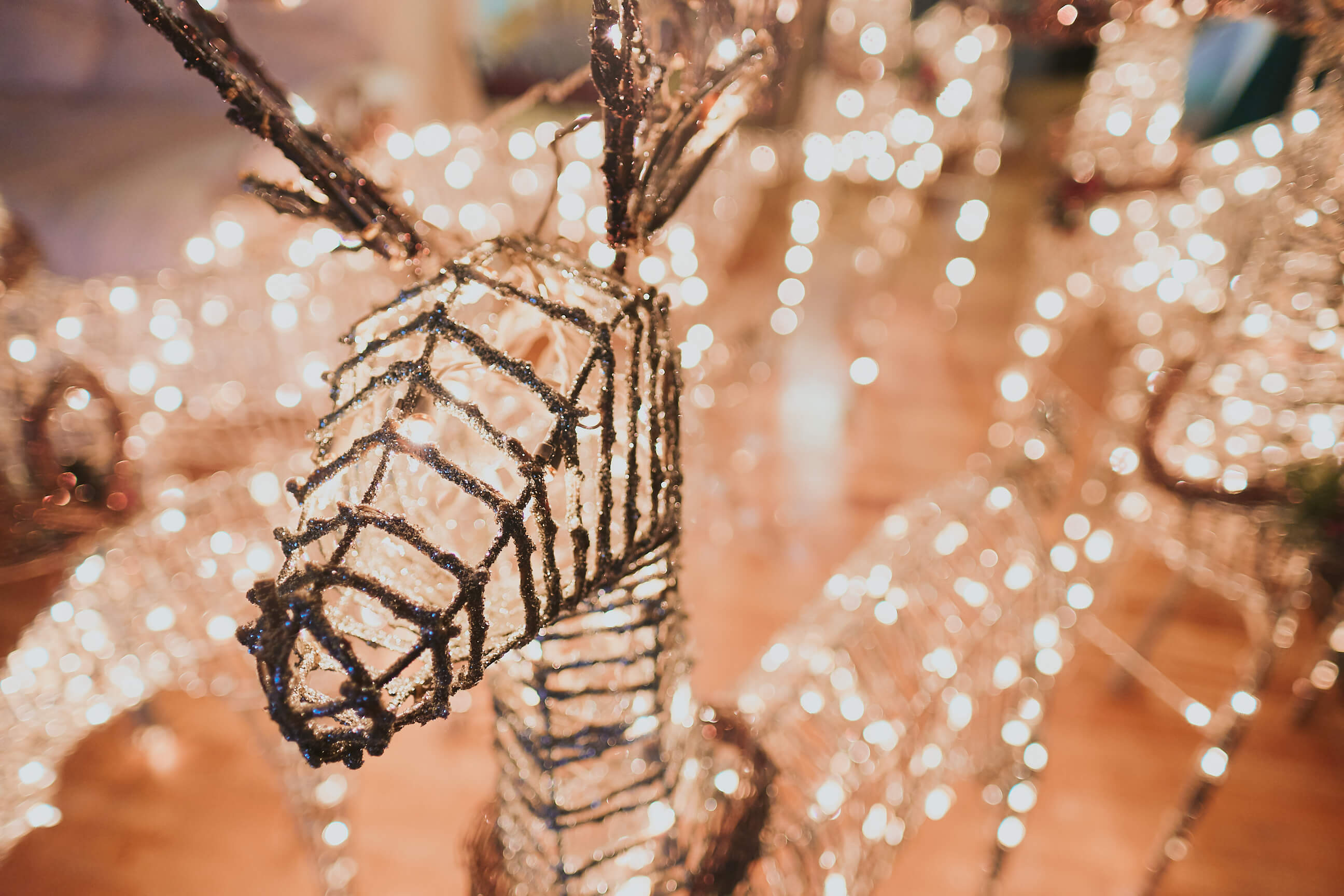 Christmas Lights - Nanuet New York- Holiday Photography - Bokeh