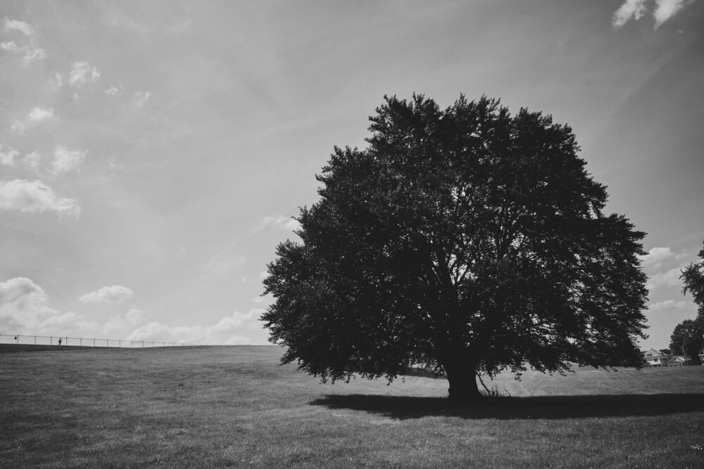 Syracuse New York - Strathmore Reservoir Hill - Landscape Photography