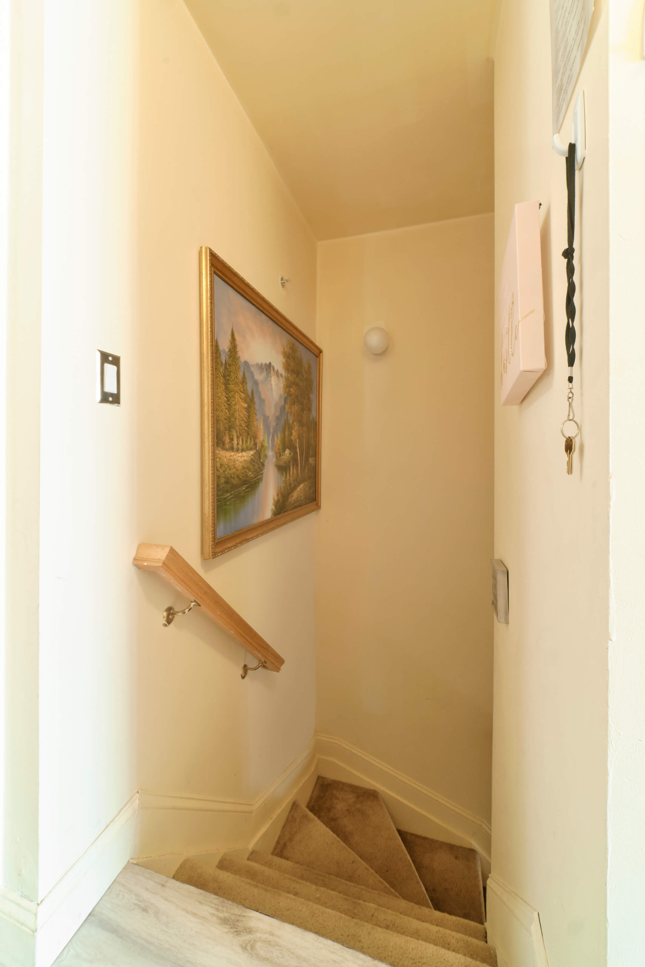 101 Dolphin Ct, Bronx, NY 10473 - Real Estate Photography, AirBnB Photography