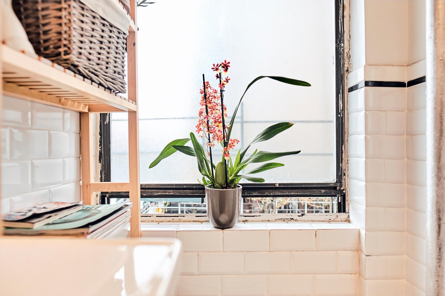 2W_111th_street - Bathroom Accessories - airBnB Photography