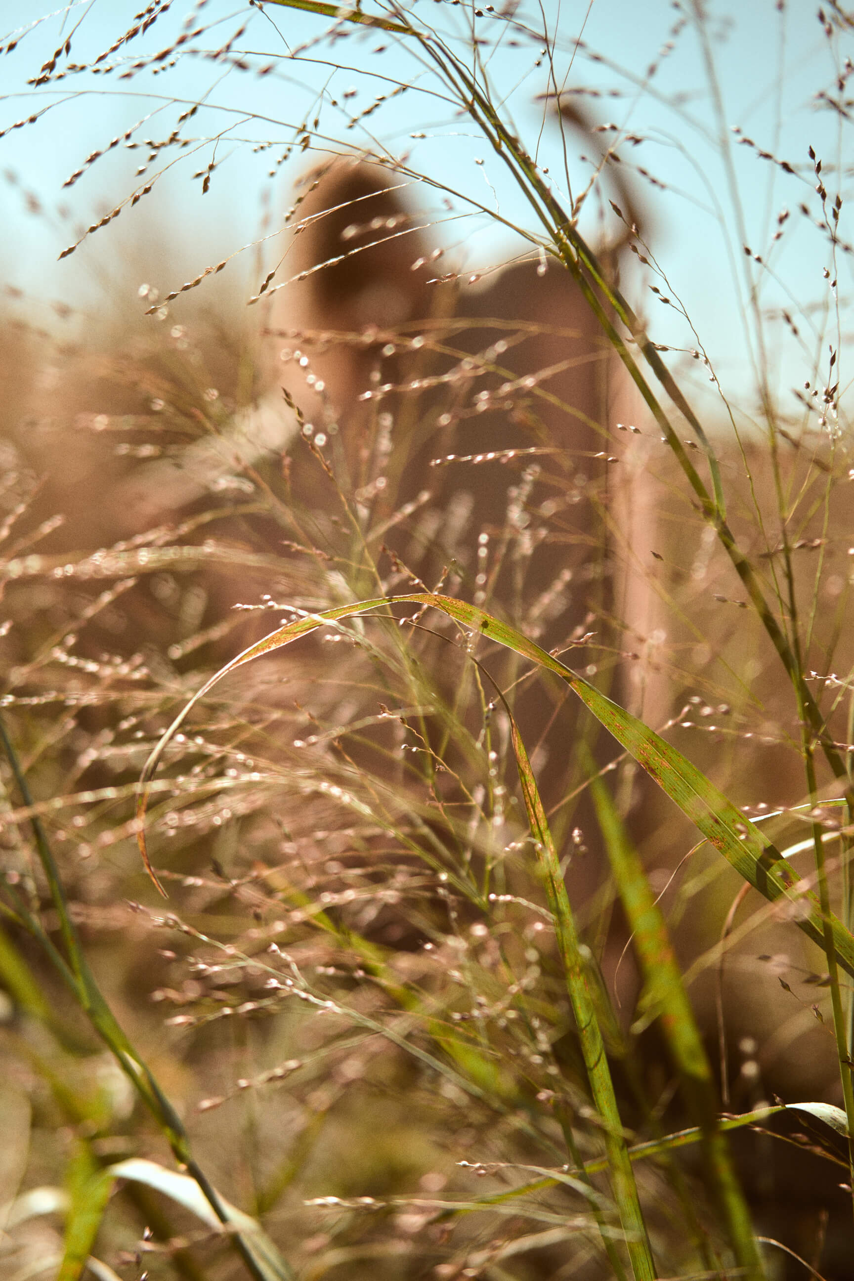 Lulu Lee - Nature Portrait Photography - Portrait Photography - Salt Marsh Nature Center, Brooklyn New York