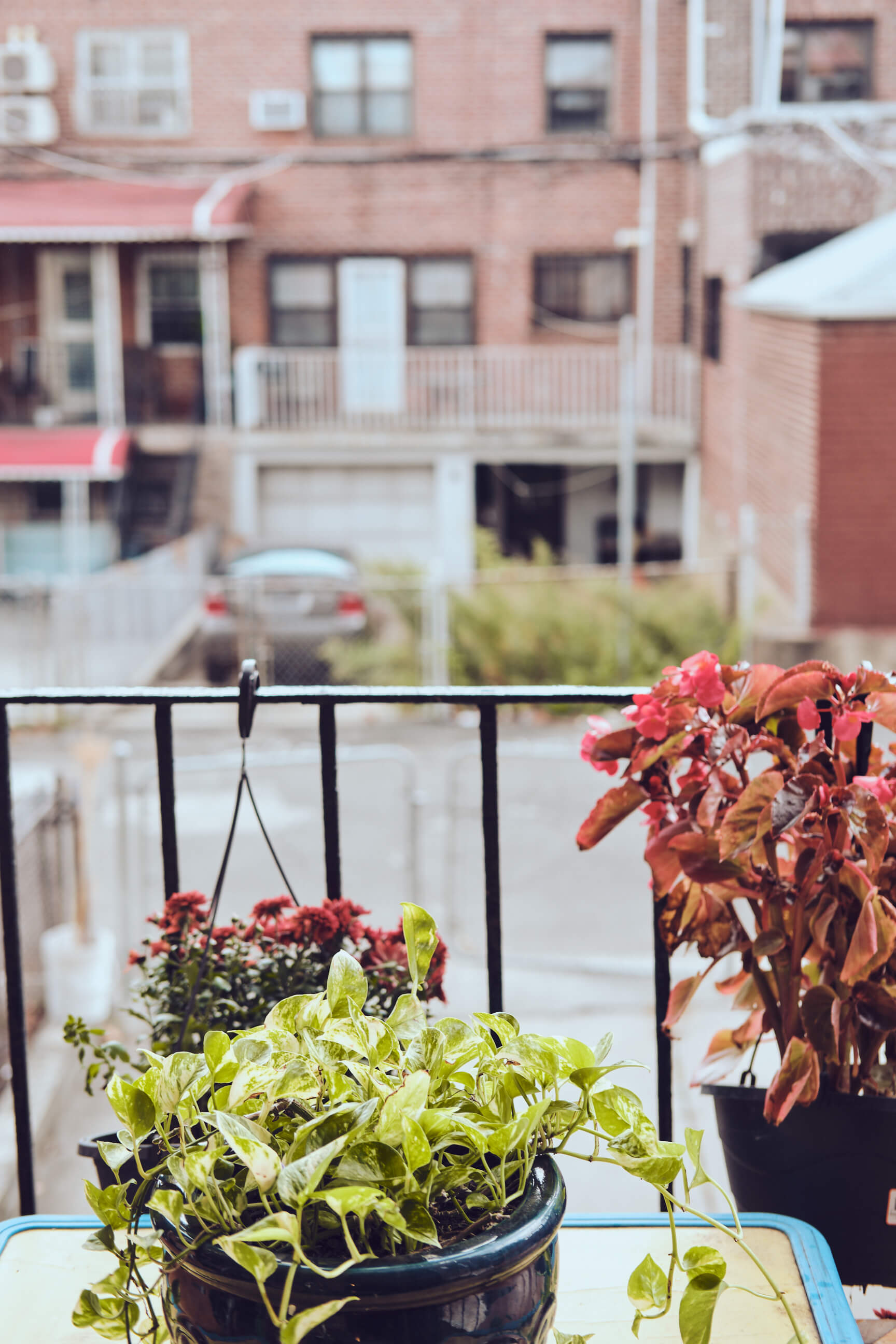 3204 77th St, East Elmhurst, NY 11370 - AirBnb - Real Estate - Interior Photography