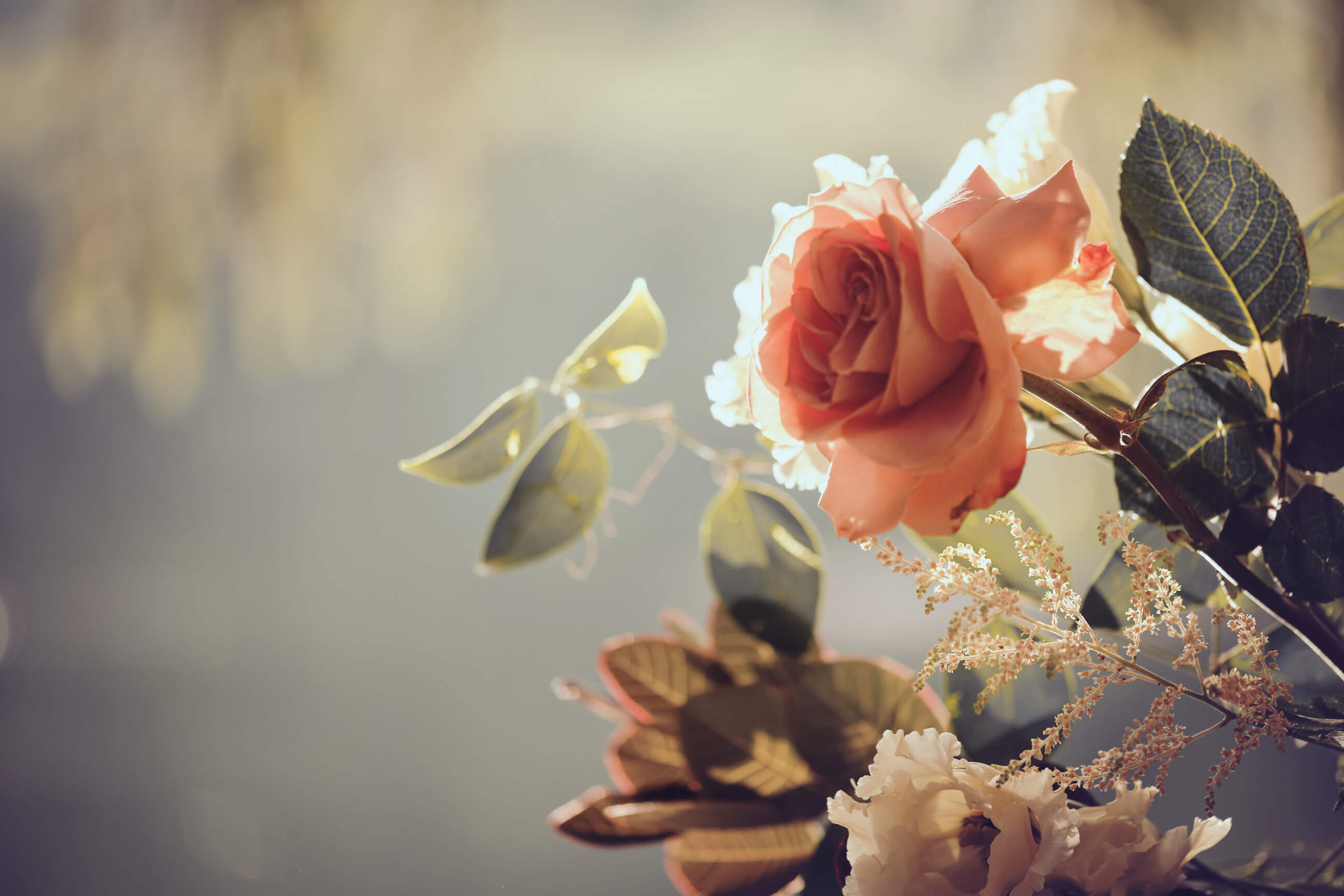 Scalet & Lorenzo- Elopement Session - Wedding Photography - Event Photography - Couples Photography - Sam Bufalo's Cedar Lake Estate Photography Retreat