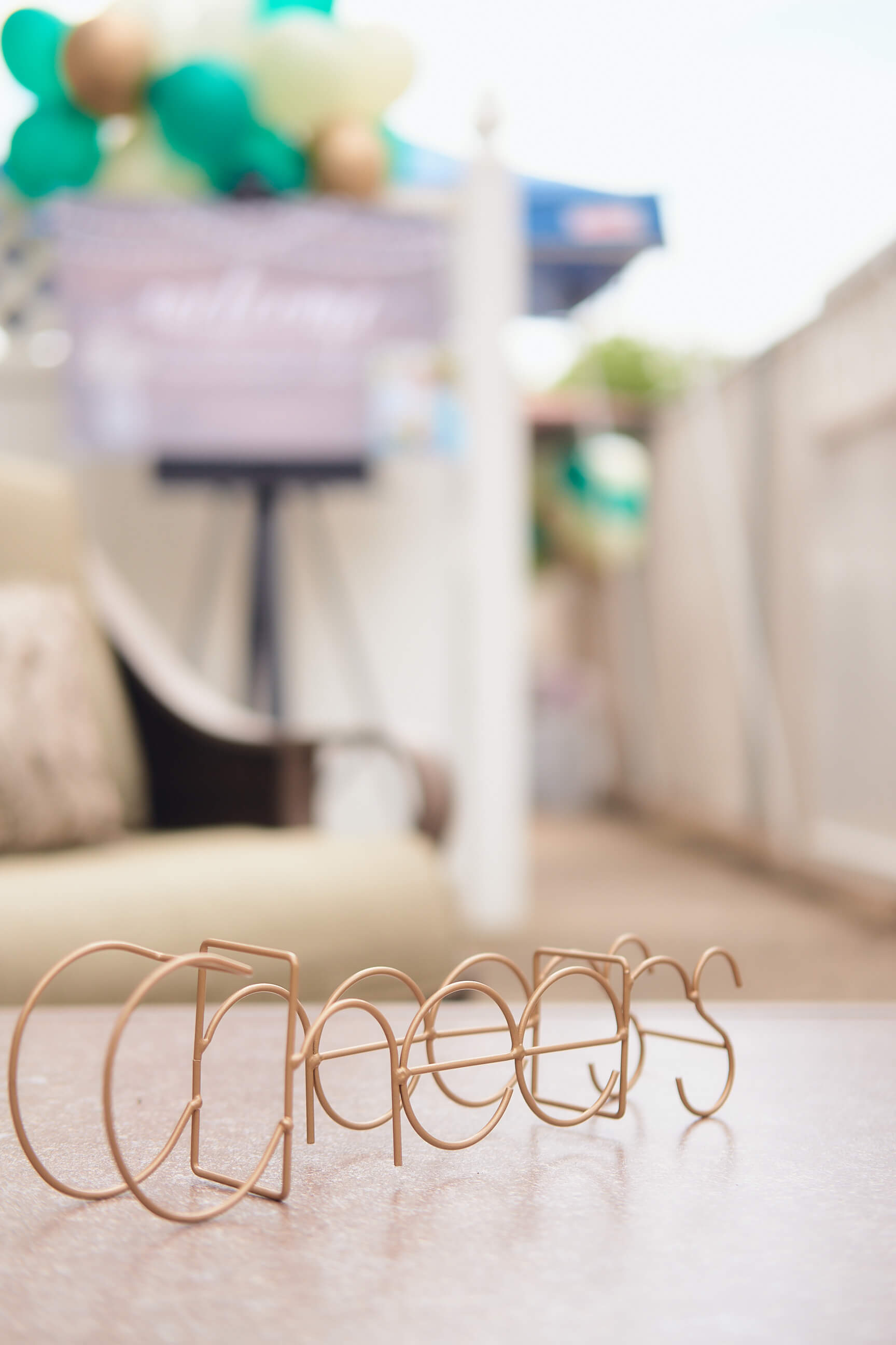 Sabrina & Joe - Engagement Party - Couples Photography - Family Photos - Staten Island, New York - Lifestyle Photography