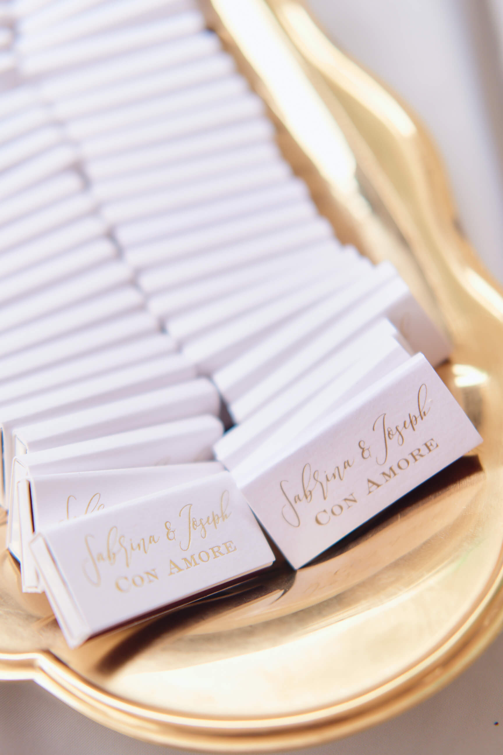 Sabrina & Joe - Engagement Party - Couples Photography - Family Photos - Staten Island, New York - Lifestyle Photography