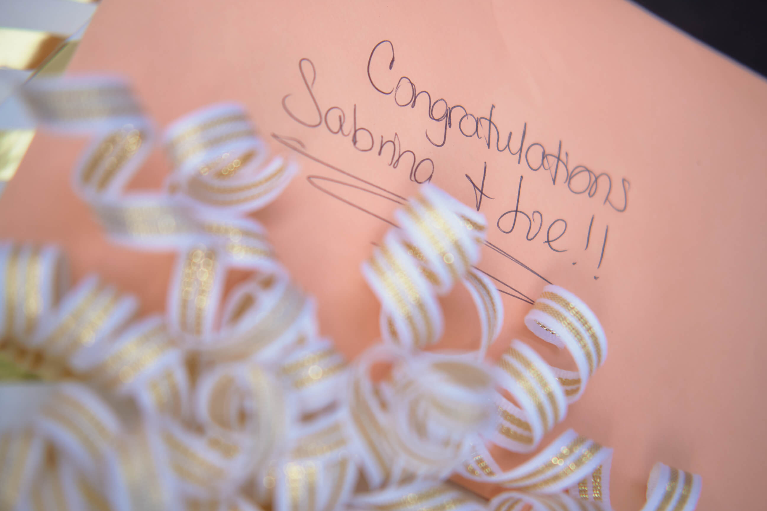 Sabrina & Joe - Engagement Party - Couples Photography - Family Photos - Staten Island, New York - Lifestyle Photography