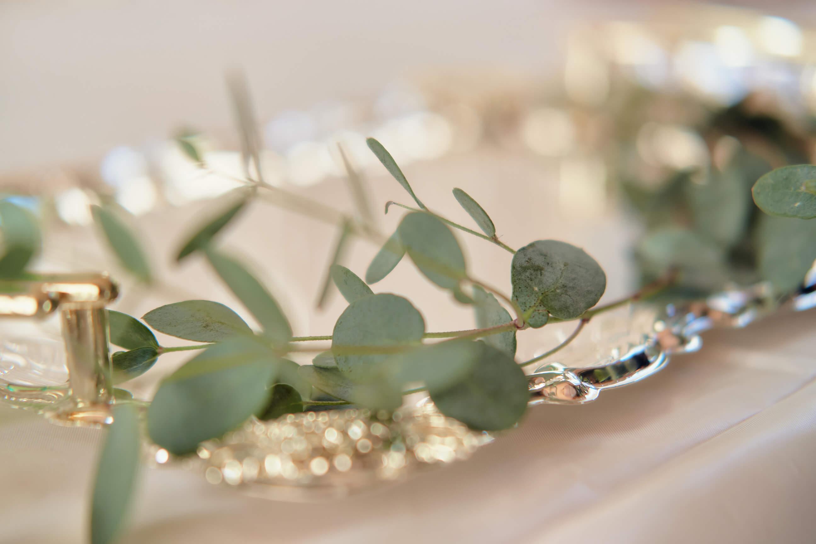Sabrina & Joe - Engagement Party - Couples Photography - Family Photos - Staten Island, New York - Lifestyle Photography