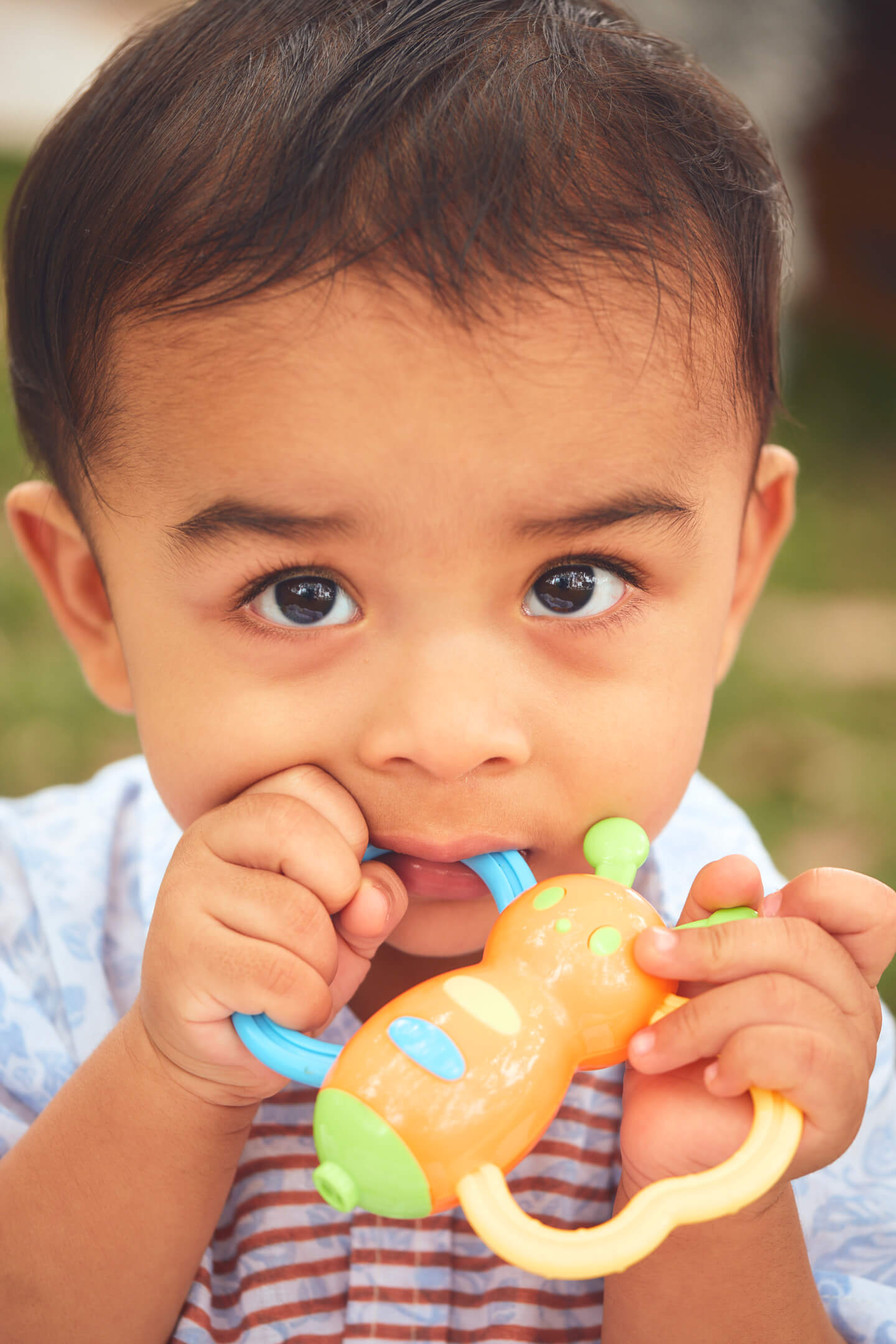 Promi - Surpris Birthday Picnic - Event Photography - Birthday Photography - Astoria Park - Queens New York