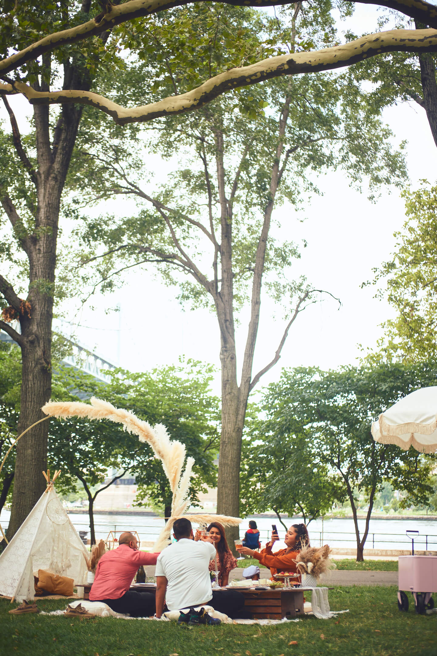 Promi - Surpris Birthday Picnic - Event Photography - Birthday Photography - Astoria Park - Queens New York