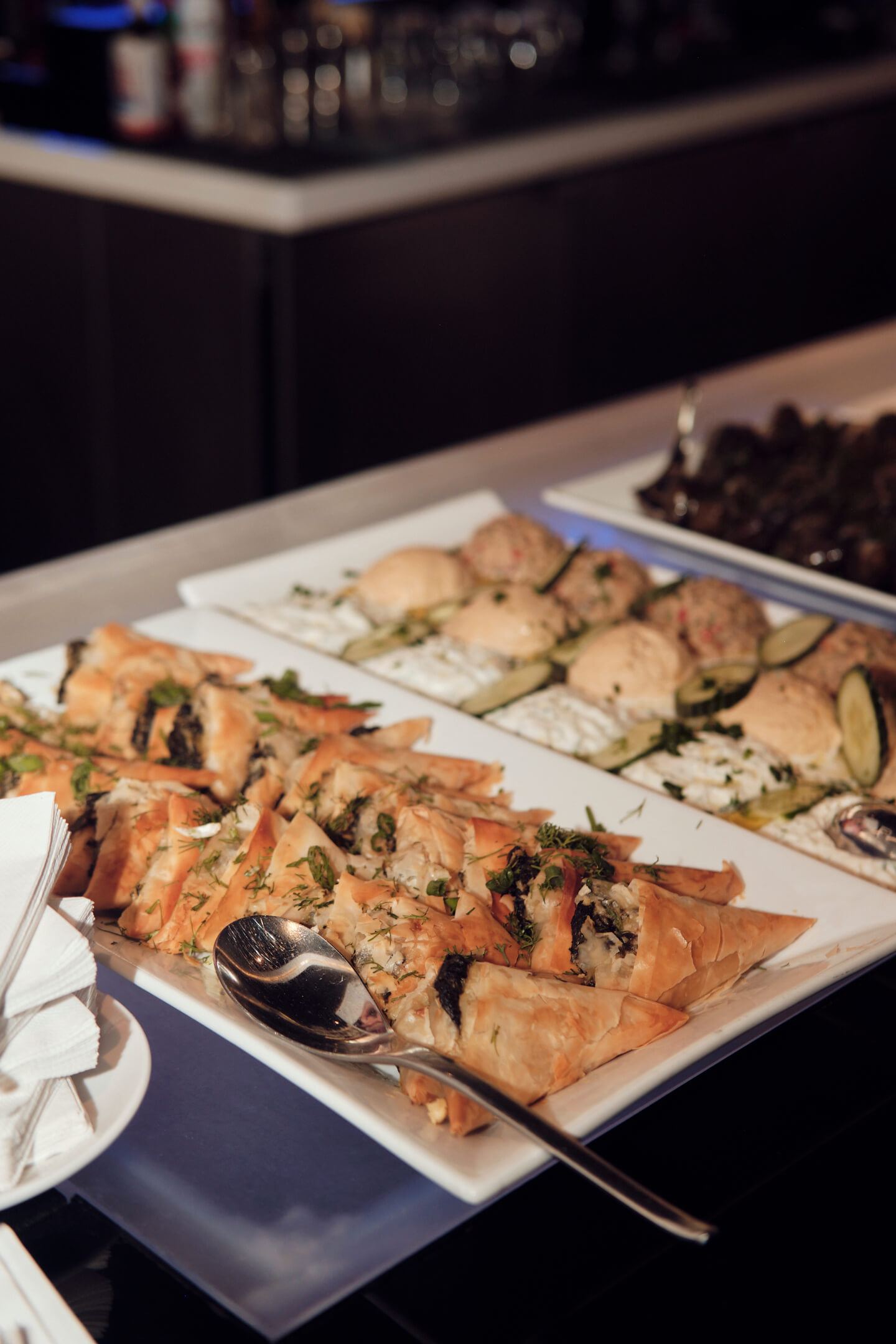 Sehal's 25th Birthday Party - Skinos, New York - Event Photography - Lifestyle Photography - Group Photography