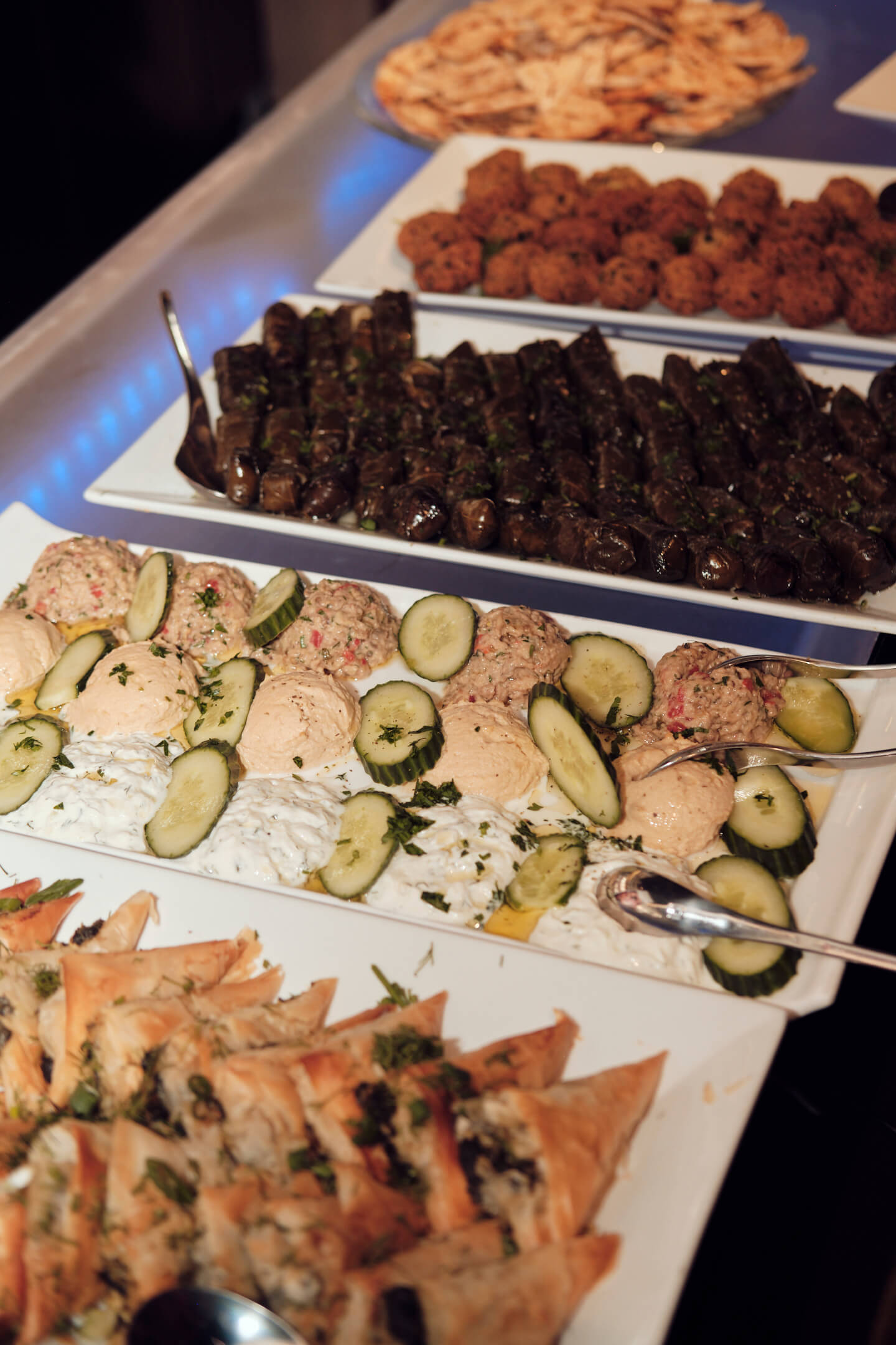 Sehal's 25th Birthday Party - Skinos, New York - Event Photography - Lifestyle Photography - Group Photography