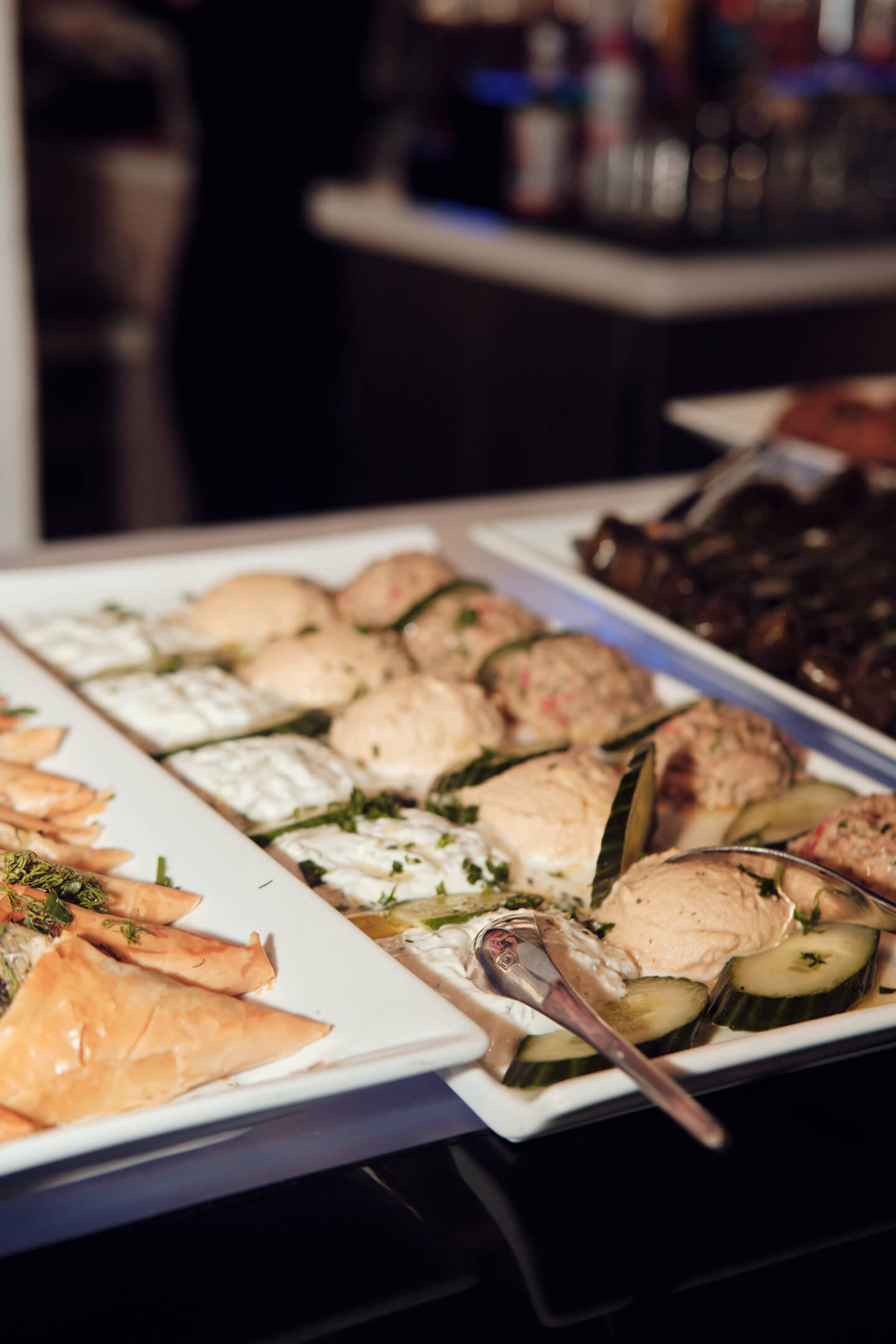 Sehal's 25th Birthday Party - Skinos, New York - Event Photography - Lifestyle Photography - Group Photography