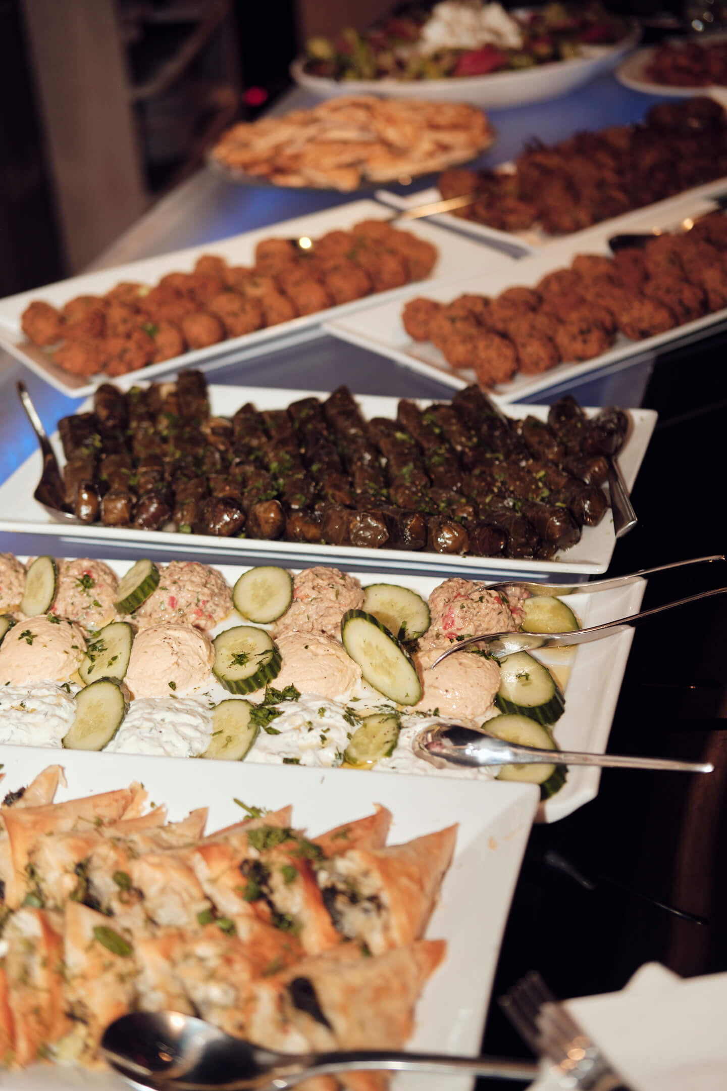 Sehal's 25th Birthday Party - Skinos, New York - Event Photography - Lifestyle Photography - Group Photography