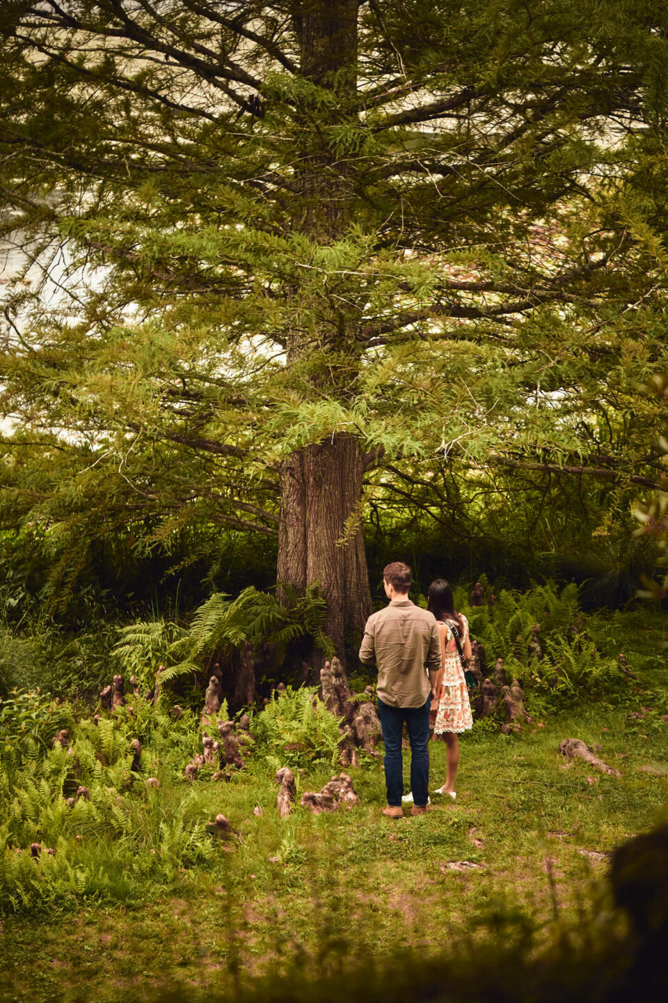 Chase & Alaina - Surprise Proposal - Innis Garden, New York - Environmental Portrait Session