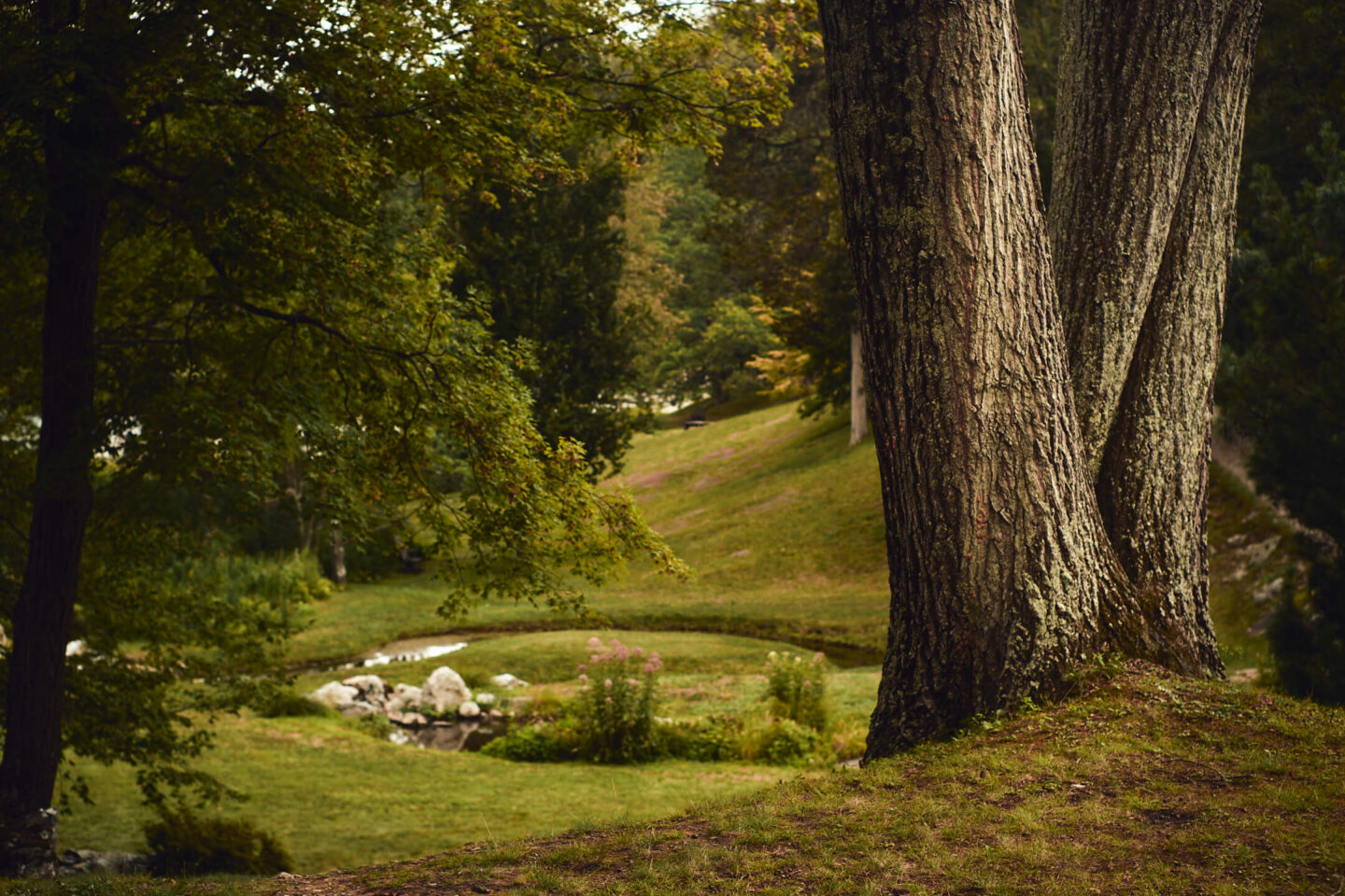 Chase & Alaina - Surprise Proposal - Innis Garden, New York - Environmental Portrait Session