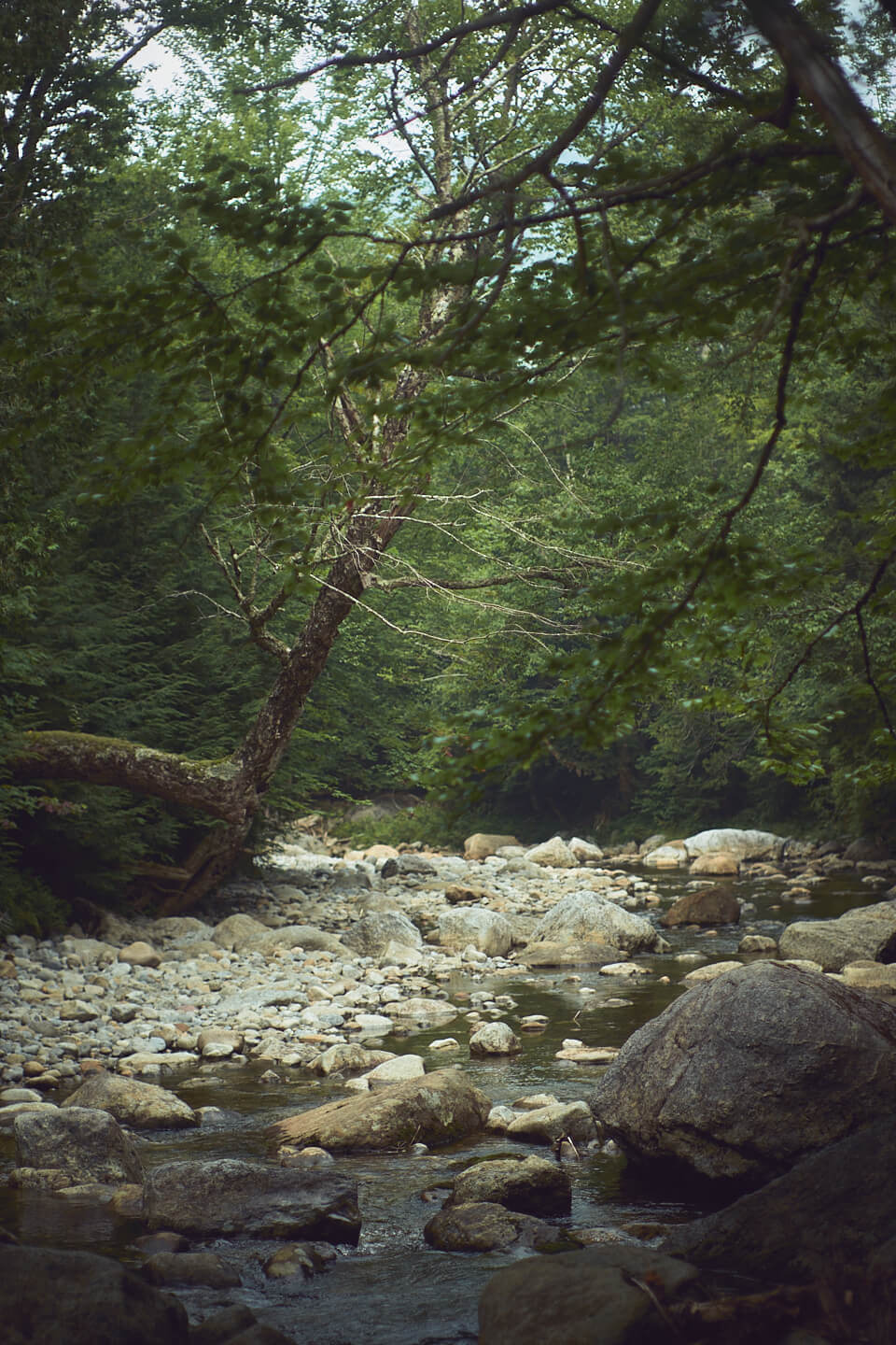 Adirondacks - Street & Nye Mountain Climb - High Peaks Mountain Trails NY - Travel Photography - Landscape Photography