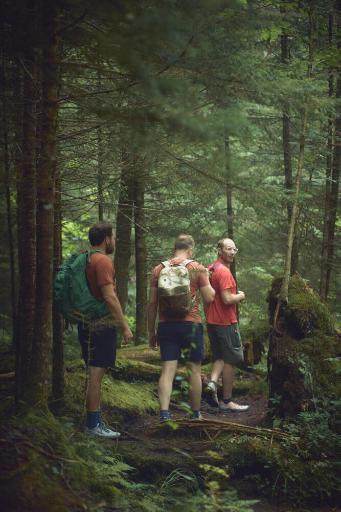 Adirondacks - Street & Nye Mountain Climb - High Peaks Mountain Trails NY - Travel Photography - Landscape Photography